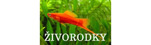 ŽIVORODKY