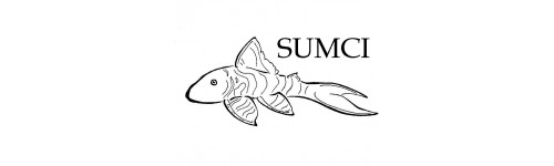 SUMCI