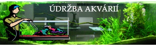 SERVIS A &Uacute;DRŽBA AKV&Aacute;RI&Iacute;