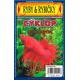 CYKLOP MRAŽENÝ SUPER RED 100g 