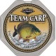 Vlasec Team Carp 0,35mm/280m