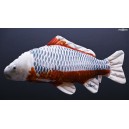 Kapr Koi 2 - 61 cm pol&scaron;t&aacute;řek