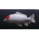 Kapr Koi 4 - 61 cm polštářek