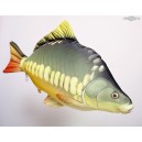 Kapr obecn&yacute; - 65 cm pol&scaron;t&aacute;řek