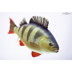 POL&Scaron;T&Aacute;ŘEK Okoun ř&iacute;čn&iacute; - 50 cm