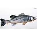 POL&Scaron;T&Aacute;ŘEK Sea Bass (Mořsk&yacute; vlk) - 70 cm