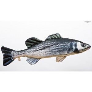 POLŠTÁŘEK Sea Bass (Mořský vlk) - 70 cm