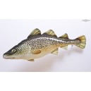 POL&Scaron;T&Aacute;ŘEK Treska obecn&aacute; - 75 cm