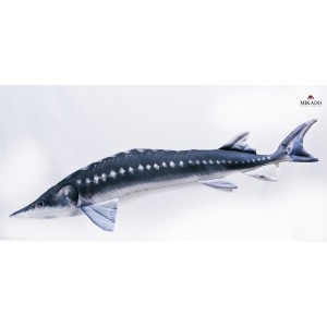 POL&Scaron;T&Aacute;ŘEK  JESETER 120cm