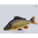 POL&Scaron;T&Aacute;ŘEK KAPR &Scaron;UPIN&Aacute;Č 64cm